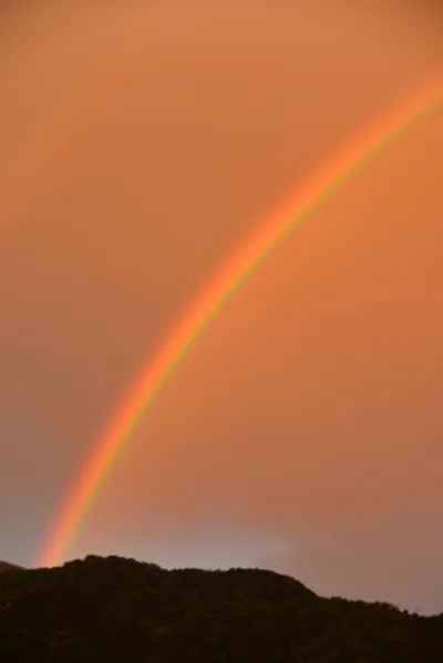 DSC_6054 (Large).JPG